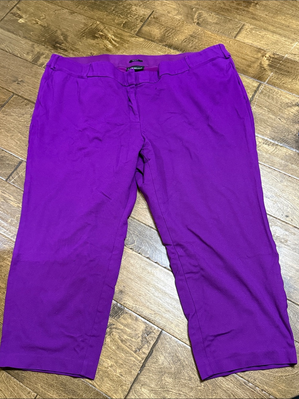 Lane Bryant Allie Bright Purple Cropped Pants